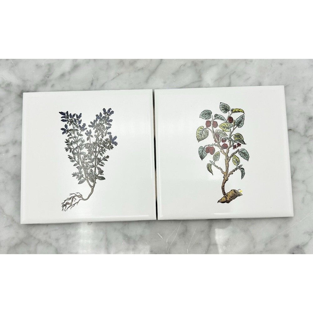 2 Pc. Set Floral Tile Mid-State/Mannington MCT 4 3/8" White Plant Accents